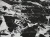 8342ce79b0aa16e32a12b66547513453