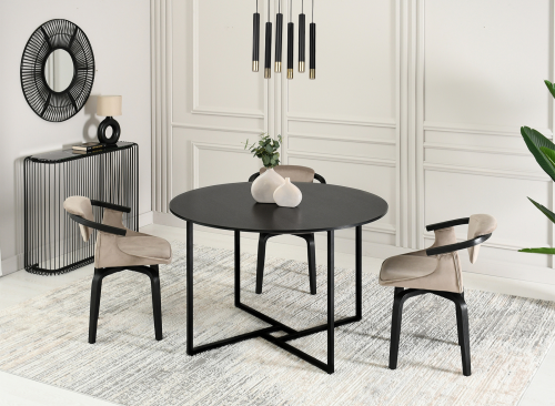 Stol BIRK 143972 (2).png