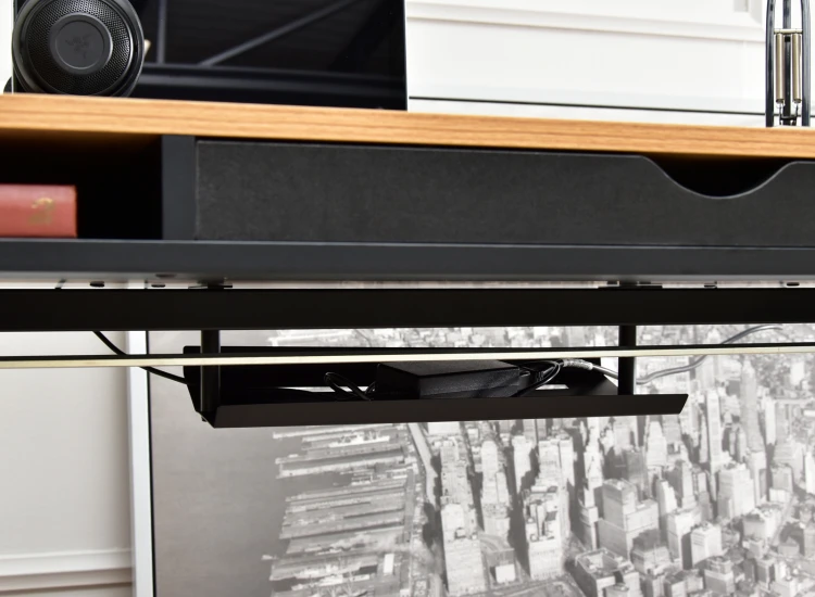 313.png
