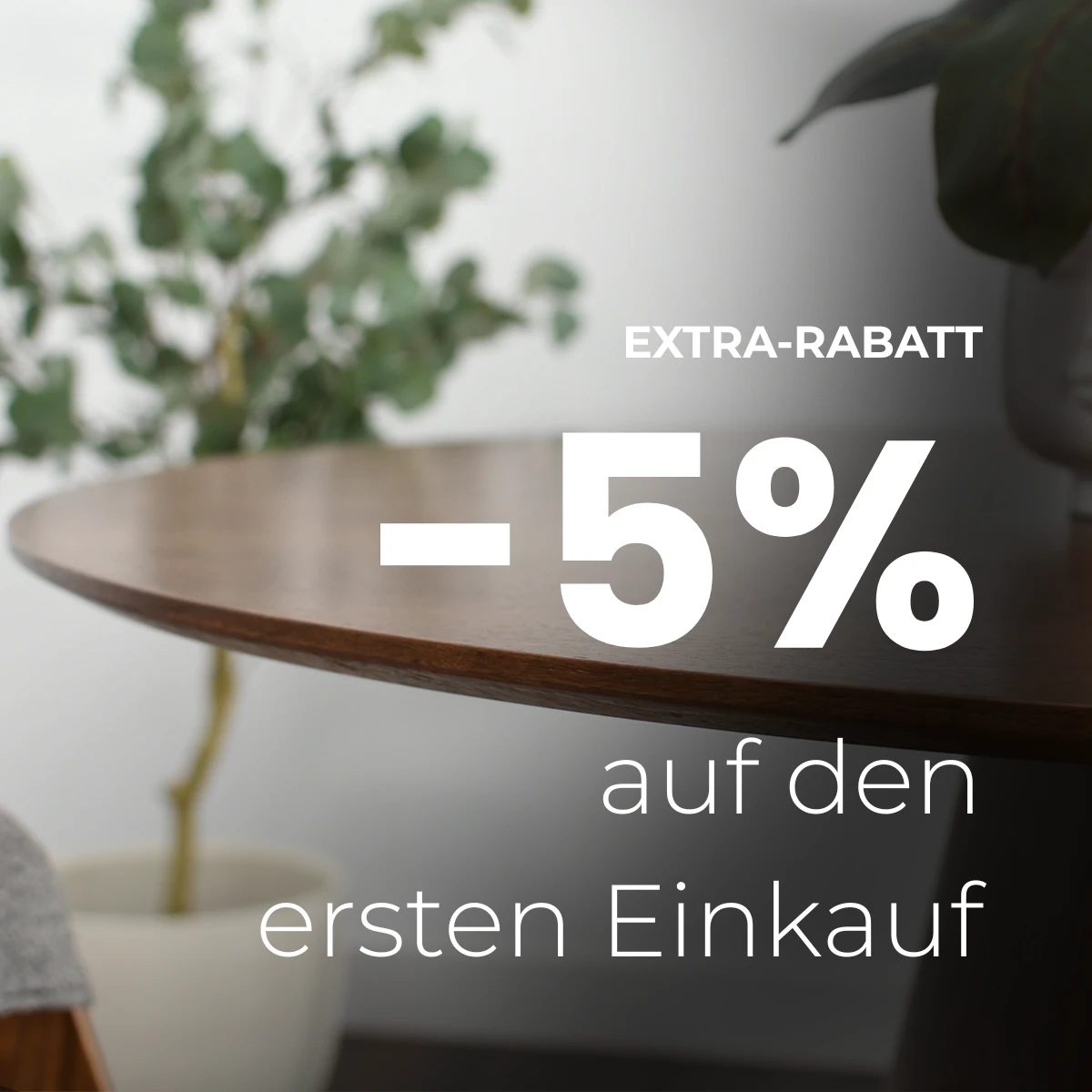 Sichere dir -5% Extra-Rabatt!