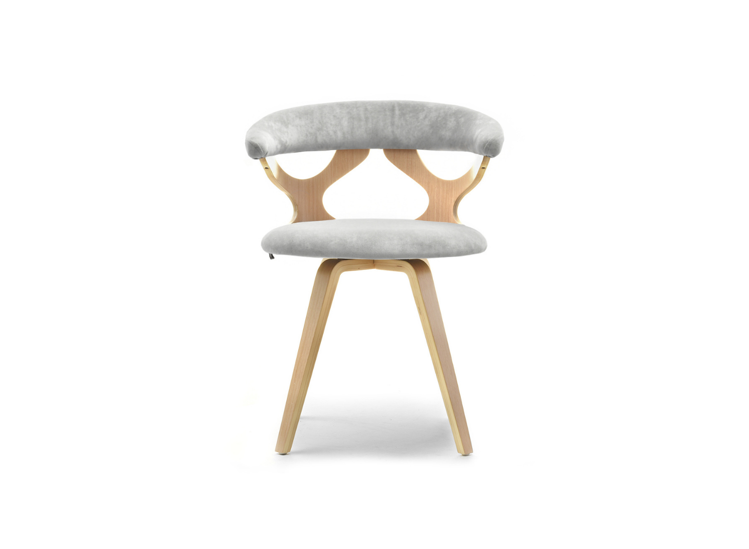 Eleganter Holzstuhl grau Velours für das Esszimmer BENTO Awentto